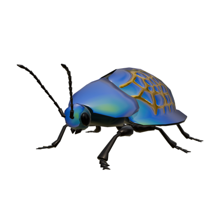 Model of an imperial tortoise beetle